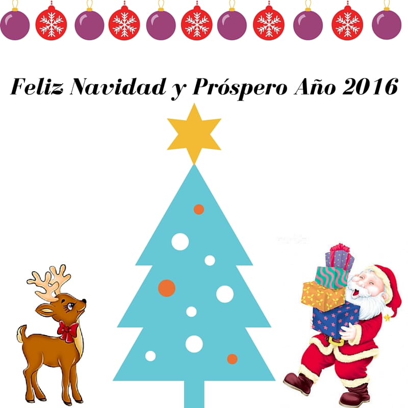 Navidad Navasola 2015